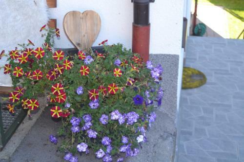 Apartamento Appartement Ewald Siller