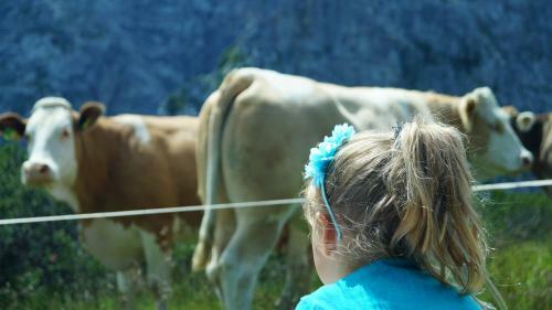 Apartamento Ferienwohnungen Dzido
