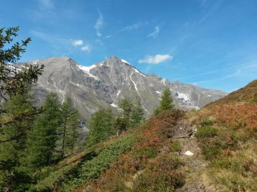 Hostal Apart-pension Oberreiter