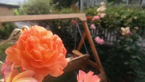 Rose Apartment