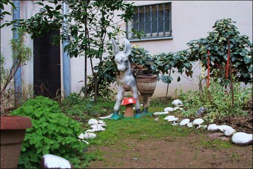 Hostal Guest House Mirza