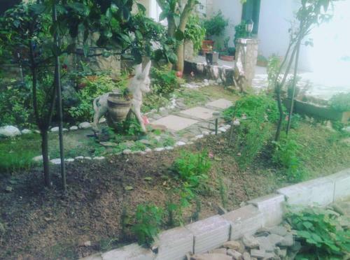 Hostal Guest House Mirza