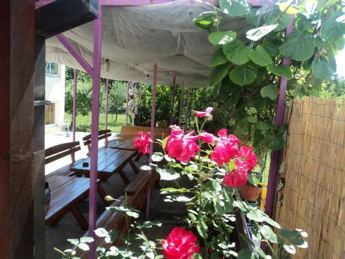 Bed & Breakfast Rooms Modana