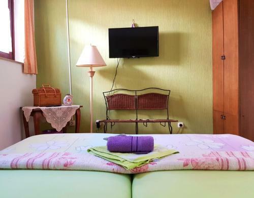 Hostel Pansion Lion