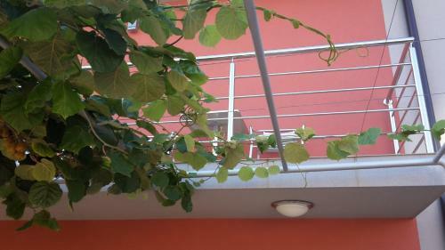 Hostal Pansion Polonia