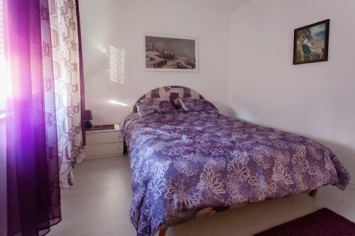 Apartment Cernica