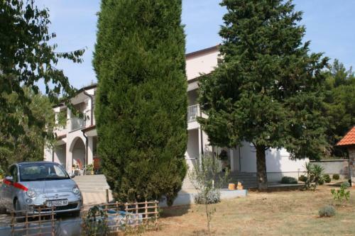 Apartment Novigrad 7017a