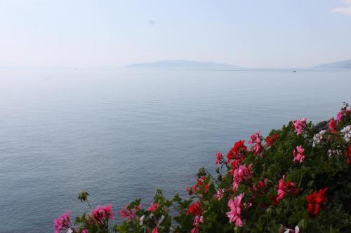 Apartamentos Studio Opatija - Volosko 7912a