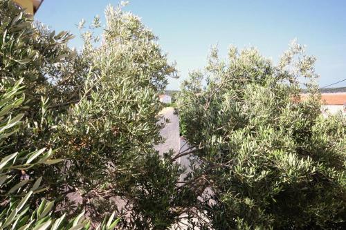 Apartments By The Sea Barbat (rab) - 5005
