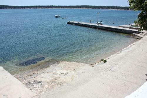 Apartments By The Sea Barbat (rab) - 5005