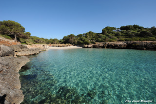 Agroturismo Finca S'antigor