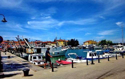 Novigrad Apartment 17