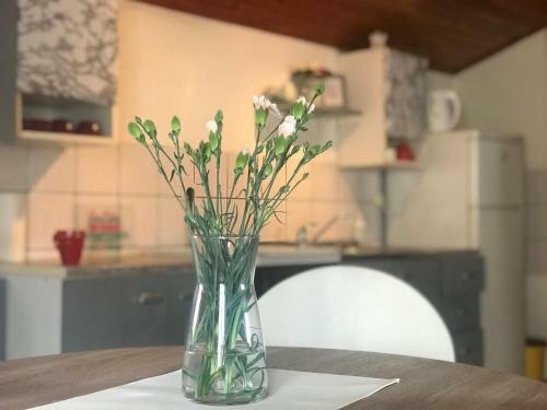 Apartments Ponistra