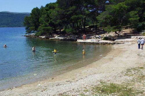 Apartment Stari Grad 8726b
