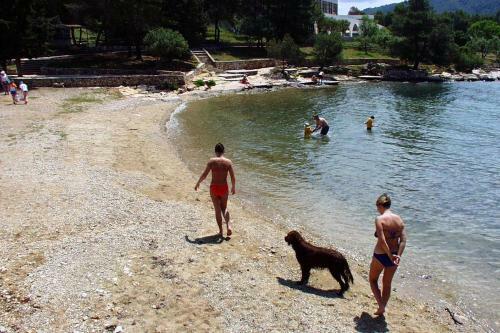 Apartment Stari Grad 8726b