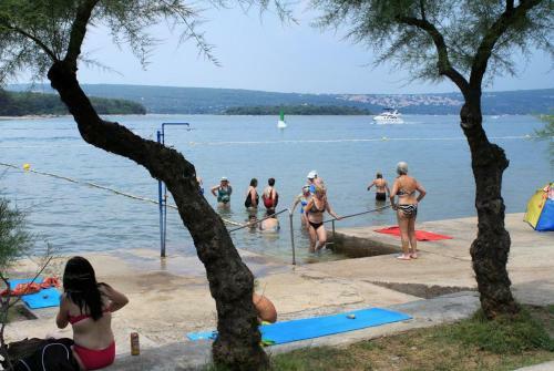 Apartment Punat 5350b