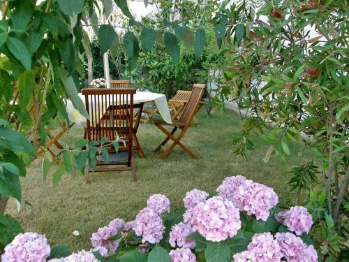 Apartment Grge Ivasa 16.8
