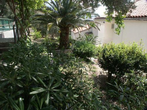 Apartment Baska Voda 300c