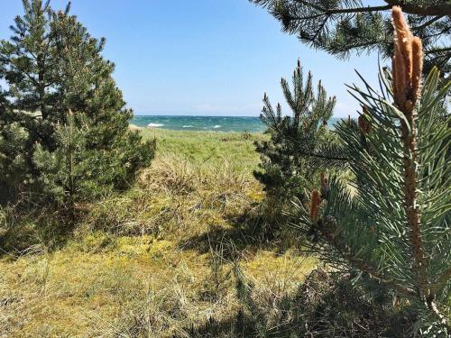 Three-bedroom Holiday Home In Aakirkeby 12