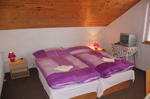 Hostal Apartmany U Janka Vinn� Jazero