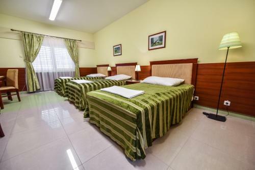 Hotel Penzion Raki