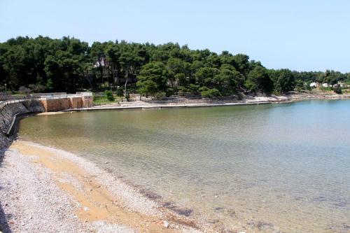 Apartments With A Parking Space Jelsa (hvar) - 5703