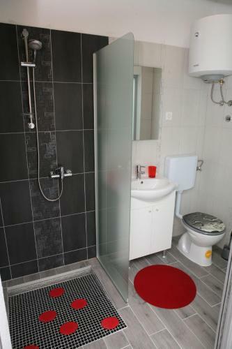 Apartments & Room Dijana