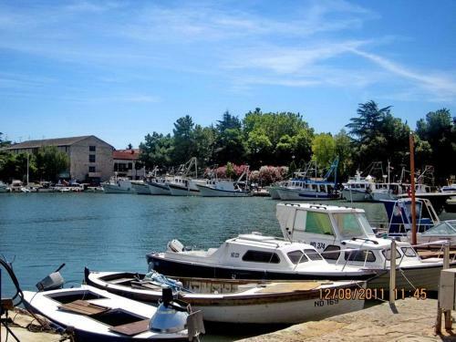 Apartment In Novigrad/istrien 9642