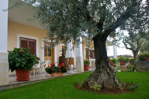Nevija B&B