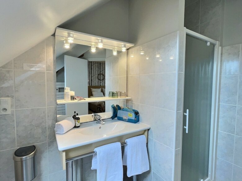 Hotel Logis Du Cygne