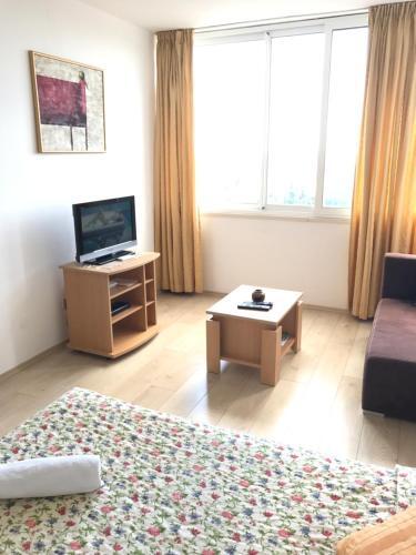 Apartamentos Studio Anga