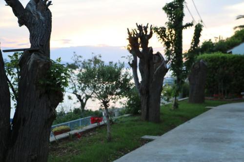 Apartment Supetarska Draga - Gornja 11579e