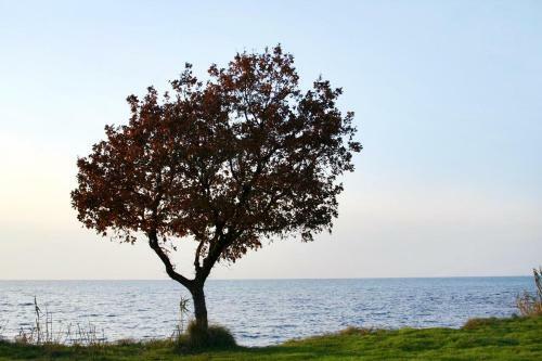 Apartment Karigador 2534b