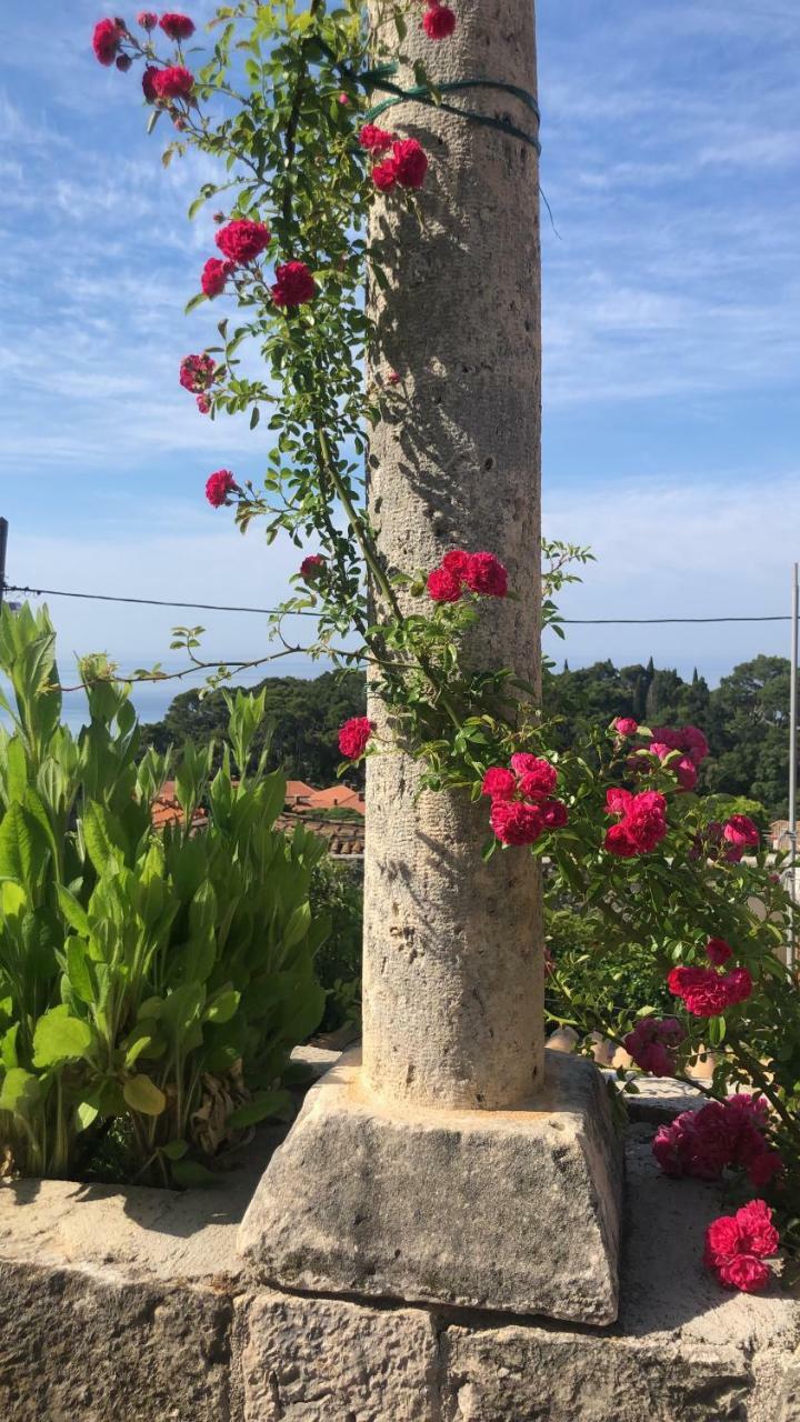 Hostal Villa Anica