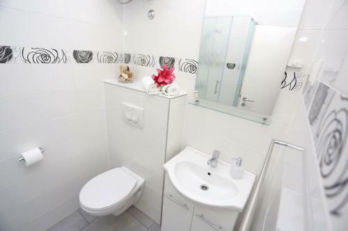 Hostal Rooms Tisa Old Town