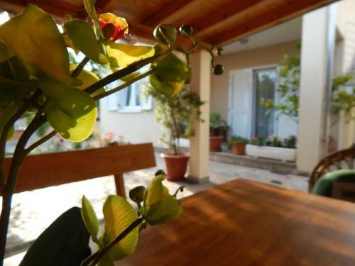 Apartments Mastrinka