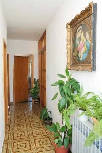 Apartment Jelsa 4590a