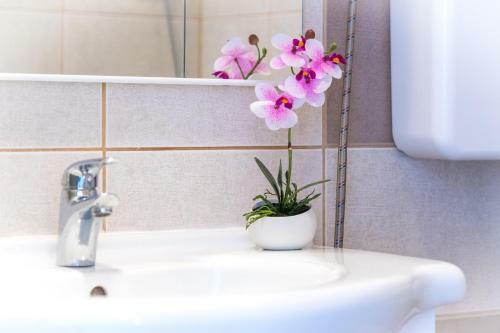 Apartment Yellow Story