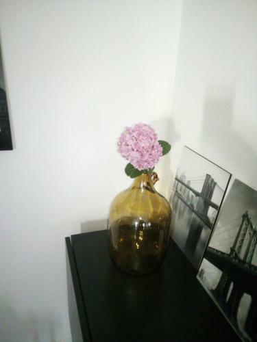 Apartments Mirela