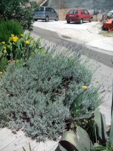 Apartments Katarina 2