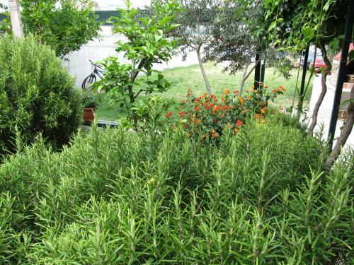 Hostal Guesthouse Trogir Proto