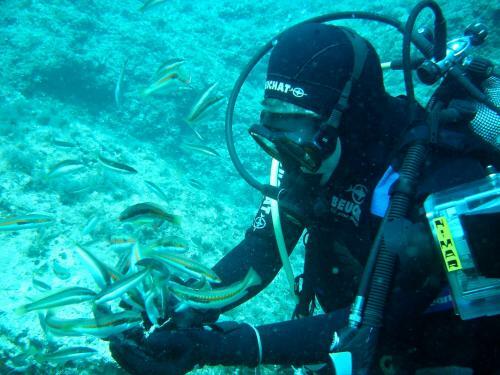 Hostal Guesthouse Trogir Proto