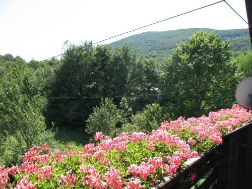 Agroturismo House Zlatko