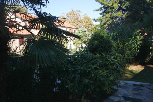 Apartment Novigrad 7335b