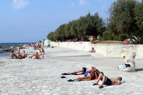 Apartment Novigrad 7335b