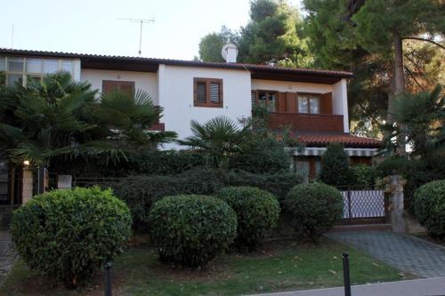 Apartment Novigrad 7335b