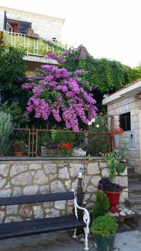 Hostal Guesthouse Ivona