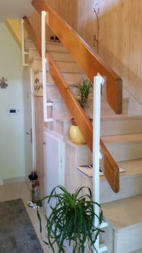 Hostal Guesthouse Ivona