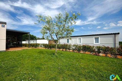 Superior Mobile Homes In Camping Kastanija