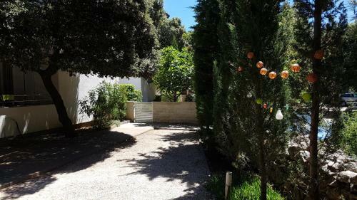 Green Paradise Apartment Novalja